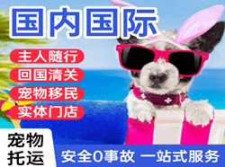 玉树巴塘机场快运国际宠物托运 【国